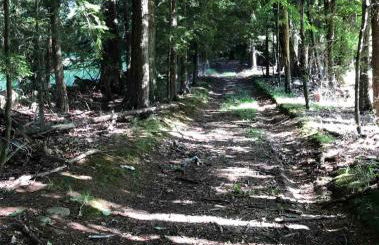 The Cozy Cottage - Foto 31