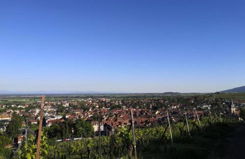 NeoAppart - Photo 19