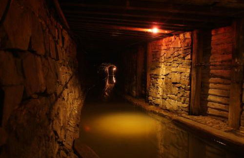 Ferienwohnung Harzblick - Foto 23