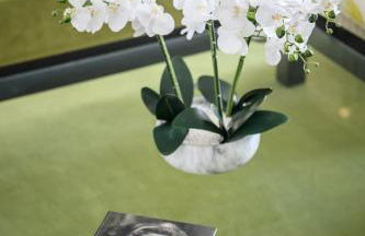 Le COQ Massolin - Parking - AC - WIFI - Foto 16