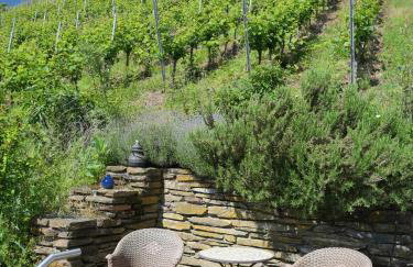 Weingut Rebenhof - Foto 12