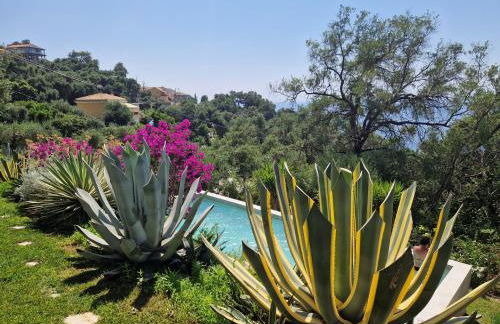 Villa Olivia - Photo 44