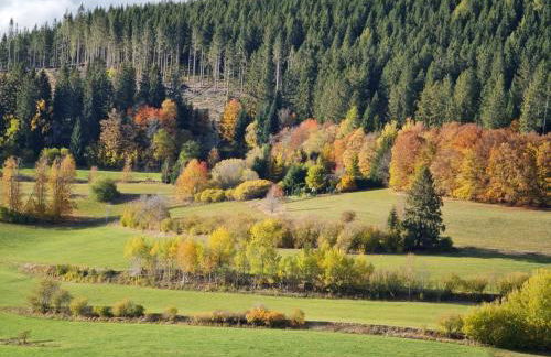 Ferienhaus Haus Herzog - Foto 78
