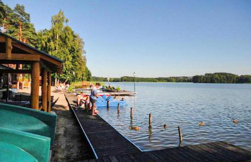 Nice Apartment In Ocypel With Sauna - Foto 9