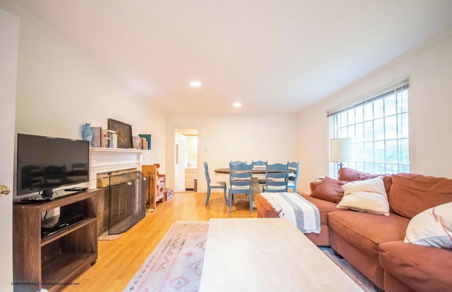 Puffin Rock - New 2022! - Photo 10