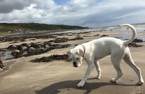 Airyolland - Foto 21