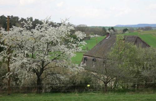 Ferien-Apartment Beller - Foto 65