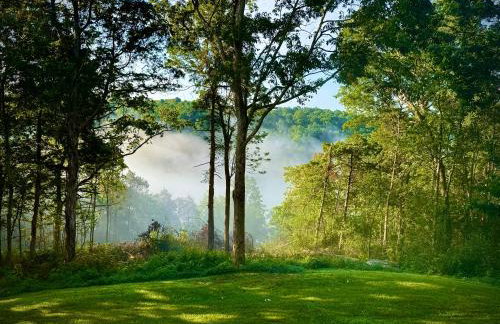 Comfortable one bedroom basement apartment in the woods - Foto 3
