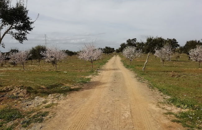 Monte Beato - Photo 40