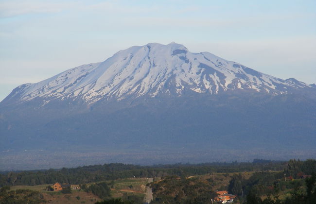 Krause Lodge - Photo 80