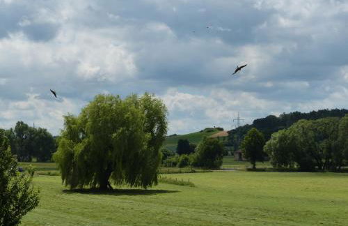 Komfort Ferienwohnung Wolfhagen - Foto 18