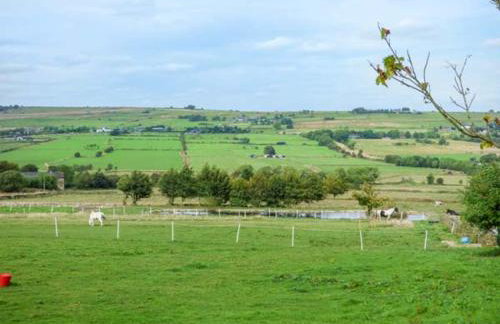 Moorlands Farm Cottage - Foto 8