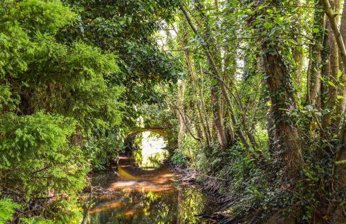 Bridge Cottage - Photo 9