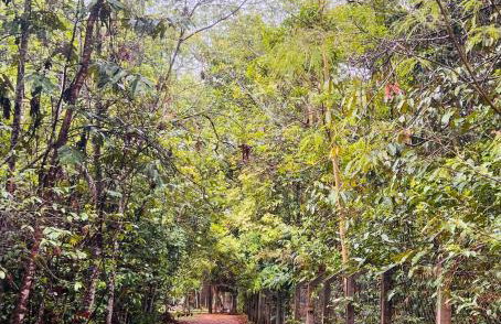 Chácara Recanto do Sossego - Foto 7