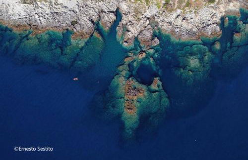 Zion Mare - Photo 17