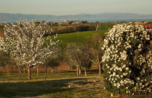 Podere Fontegallo - Photo 68