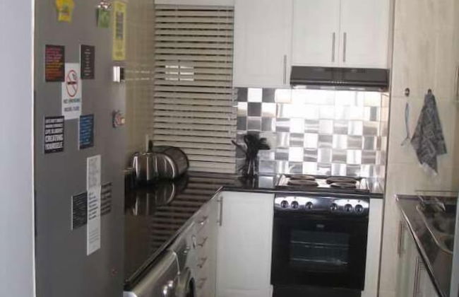 Lazy Lizard - Foto 15