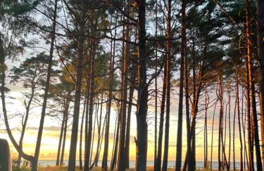 Przystań na Dobrej - Foto 30