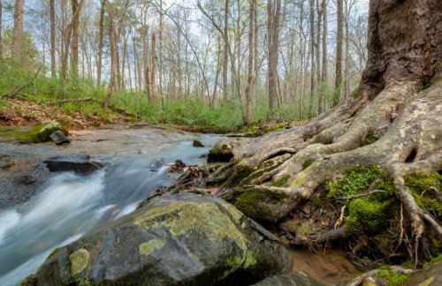 Lux Mins To Nascar HOF CDIA & Atrium Health - Foto 16