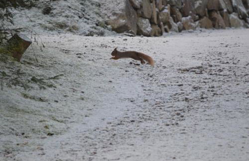 Holly Blue - Cosy wooden lodge Kippford - Photo 15