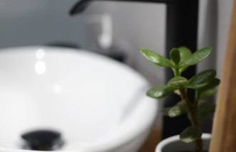 Cantinho do Pópulo - Photo 25