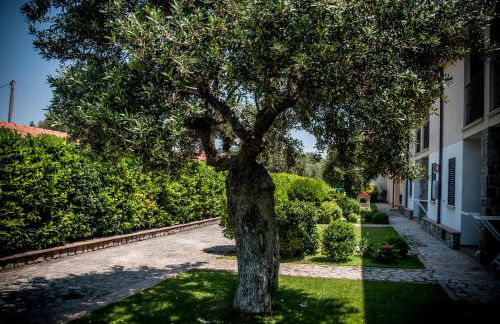 OLIVETO A MARE - Suite & Apartment - Foto 60