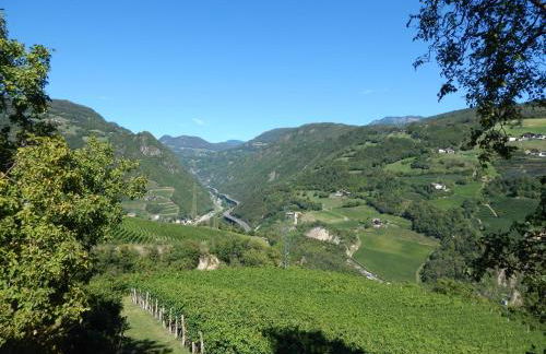 Pignathof Castanea - Foto 11