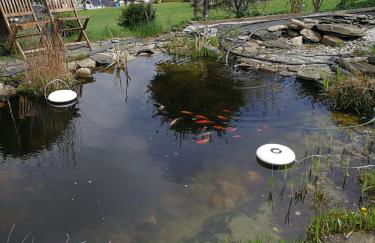 Ferienwohnungen Thomsen Bergdorf Pobershau - Foto 46