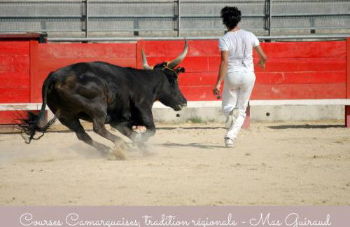 Gîtes Le Mas Guiraud - Foto 79