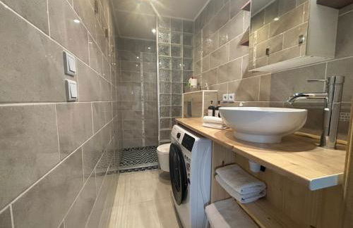 La Salamandre de l Olivier - le Palmier - Foto 13