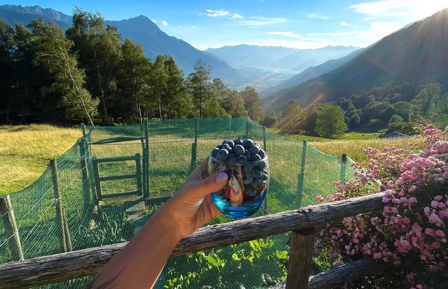 Baita Lake View - Photo 35