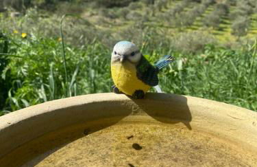 Da Nonno Francesco - Foto 14