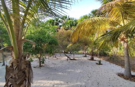 Sitio Santo Antonio - Photo 27