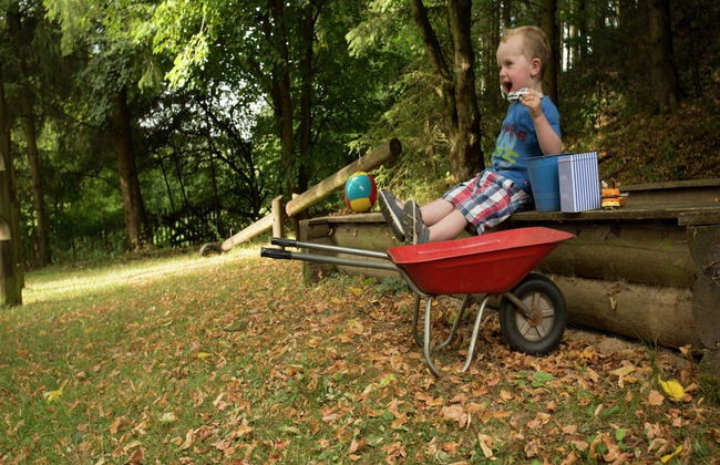 Chalet in Reinskopf With Fireplace - Photo 10