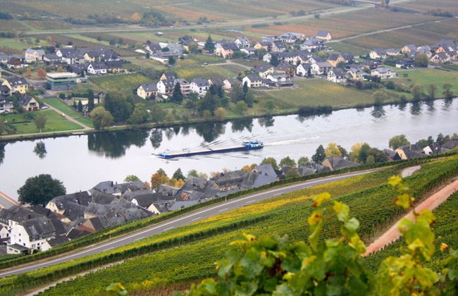 in Landhuisstijl met Uitzicht op de Moezel - Photo 26