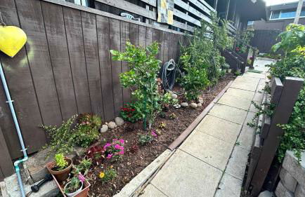 Suite Steps to San Diego Top Spots - Foto 21