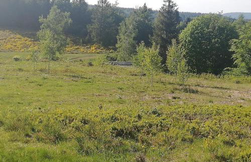 Holiday Home in Vosges with Garden and BBQ - Foto 20