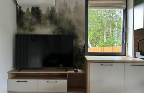 Dach Pod Sową Apartament GS - Foto 25