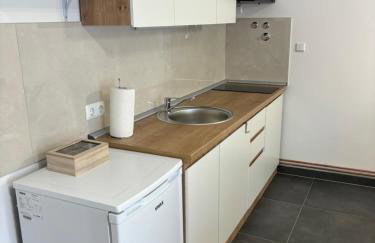 Vila Galerija - Foto 51