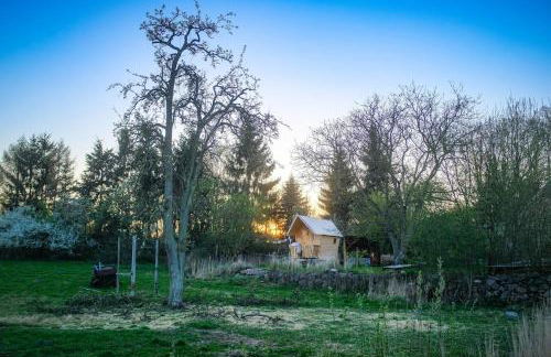 Ferienwohnung am Kunterbunthof - Foto 38
