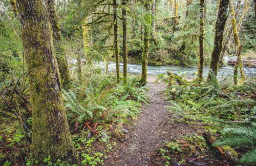 ElkCreek Inn Creekside tiny home - Foto 20