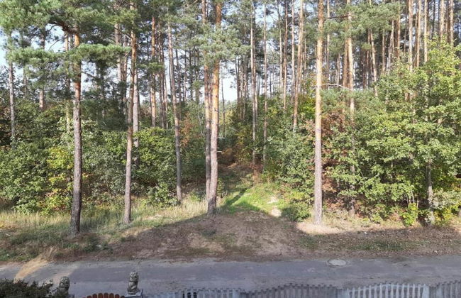 Peaceful Retreat by the Lake - Foto 35