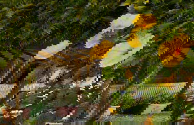 Agriturismo Il Gelsomino Ritrovato - Foto 40