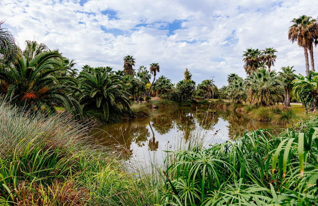 Apartamento Pau 5 - Foto 20