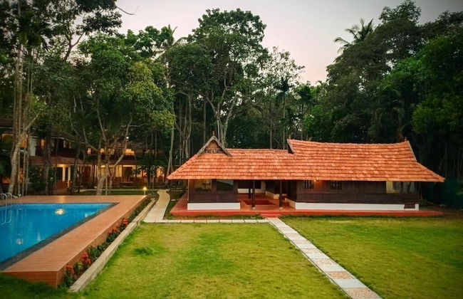 AYURVEDA TOURS INDIA - Foto 6