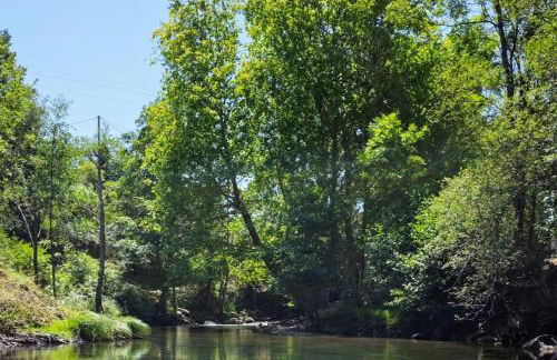 El Nial de Los Pinos - Photo 21