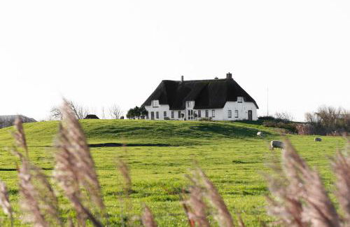 Rickmer's Hoff Reetdachhaus mit Sauna und Kamin - Foto 15