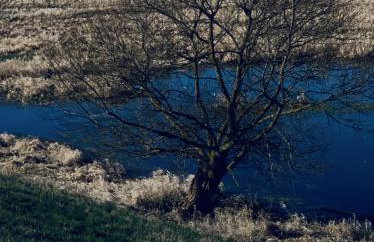 Tilia authentic home, butikowe apartamenty nad morzem - Photo 68