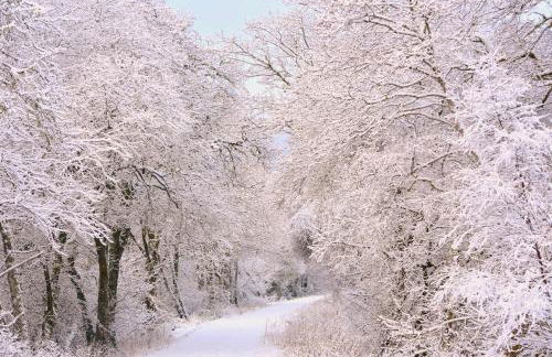 Linnhe Apartment, Kinlochlaich House - Foto 25