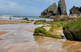 Urdaibai Etxea - Foto 29